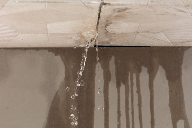 Professional Water Extraction technician working in Park City, IL